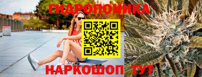 СК Владимир